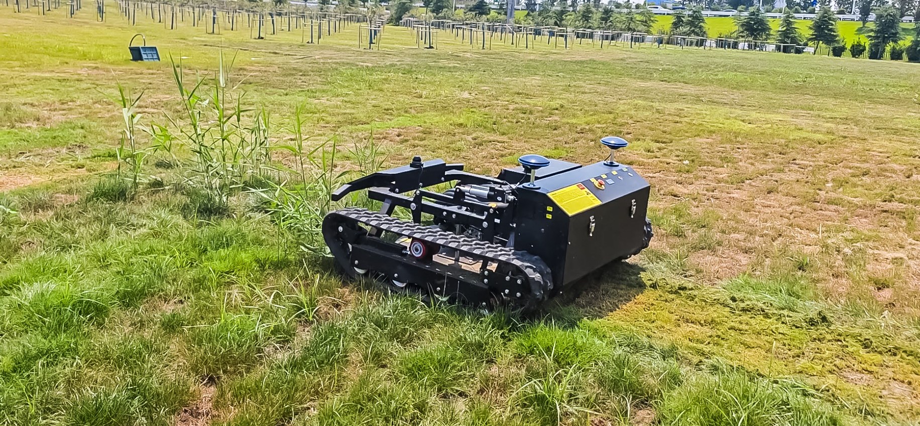 Tracked autonomous flail mower at the edge of a reed-choked wasteland with young saplings behind