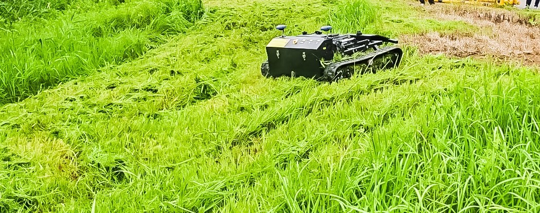 Tracked flail mower cutting through tall unkempt roadside grass, with a clean mown strip behind it