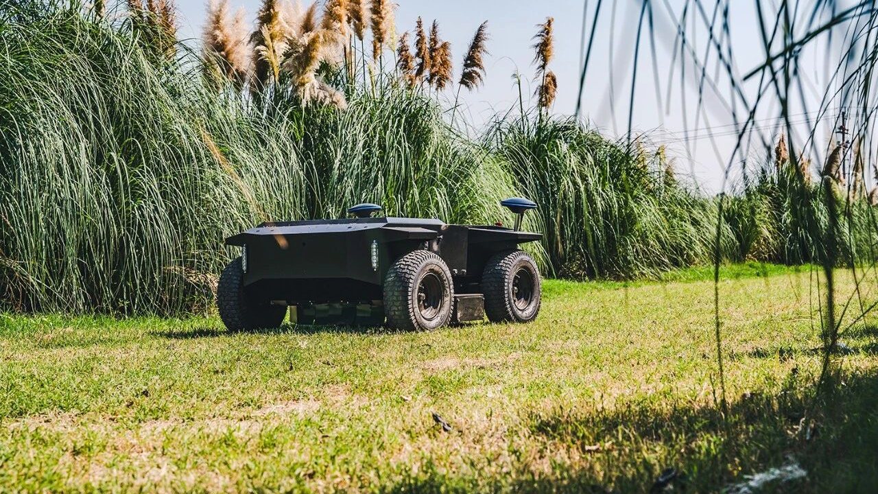 All-electric WANJI R1 autonomous mower on managed park turf in front of ornamental pampas grass