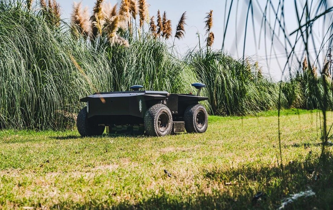 WANJI R1 autonomous mower at the edge of tall ornamental pampas grass