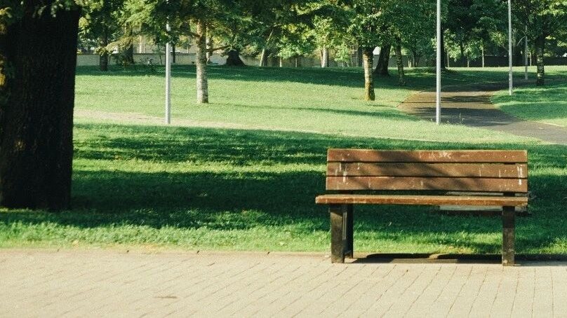 Neatly mown park lawn at first light with a bench and walking path