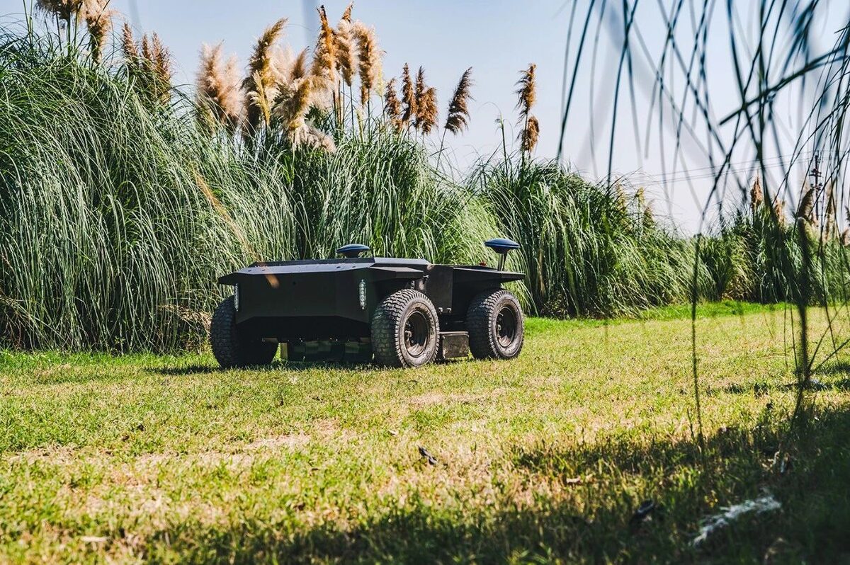 Electric autonomous mower working along the edge of tall grass