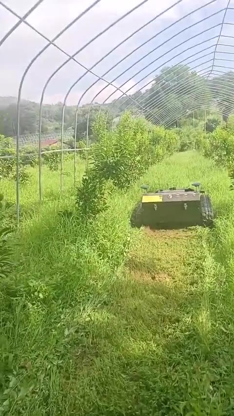 Tracked hybrid mower working in orchard rows and greenhouse tunnels